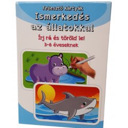 Készségfejlesztő Kártyák Óvodásoknak Fiús Játékok