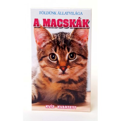 Macskák Játék Kártya