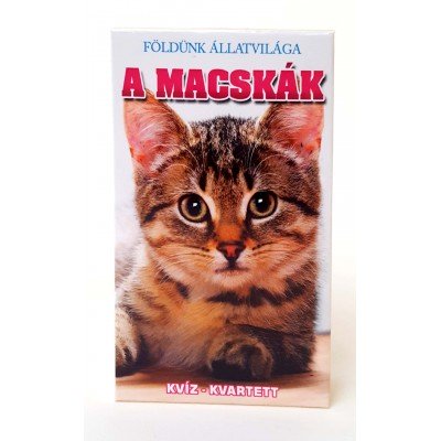 Macskák Játék Kártya