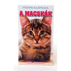 Macskák Játék Kártya Fiús Játékok