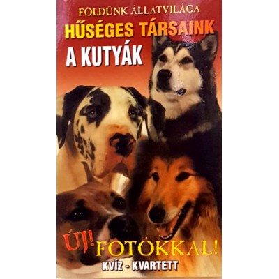 Kutyák Játék Kártya