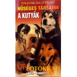 Kutyák Játék Kártya Fiús Játékok